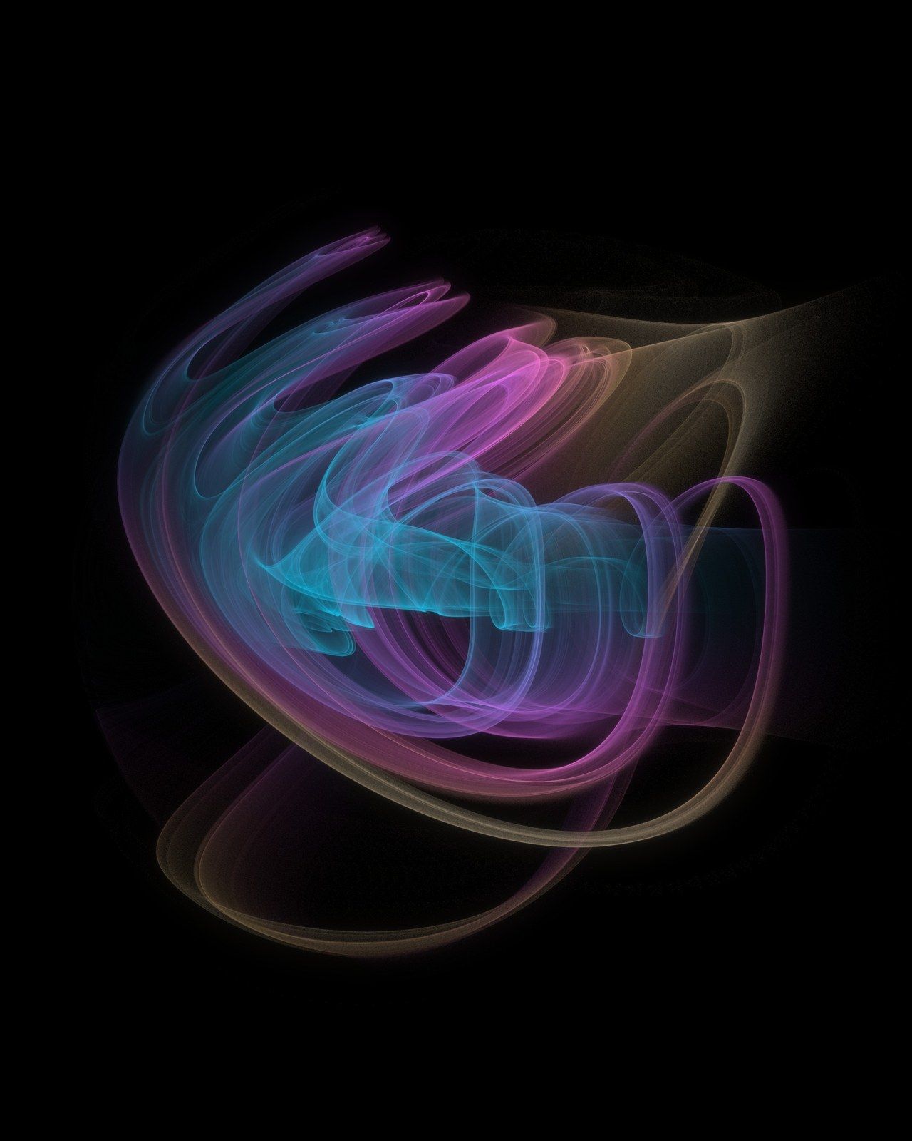 Conch: a hidden attractor of blue and violet threads coiled like a shell
