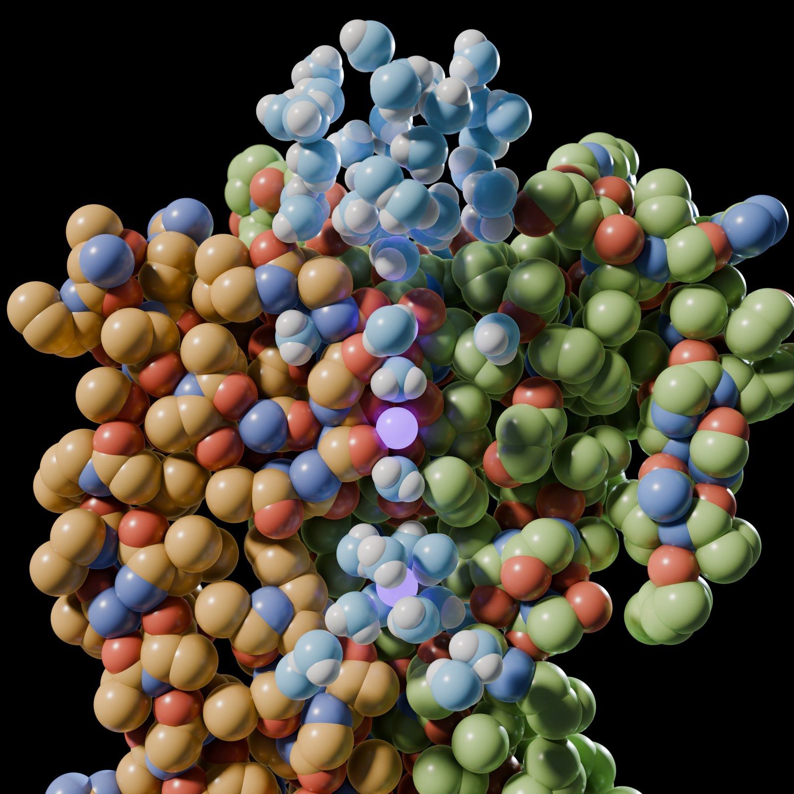 A potassium channel selectivity filter rendered atom by atom